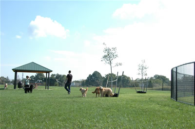 Off-leash Dog Area at Wolf Hill Rec Area